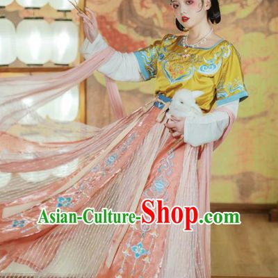 Traditional China Tang Dynasty Court Lady Dance Clothing Ancient Palace Princess Embroidered Hanfu Dress