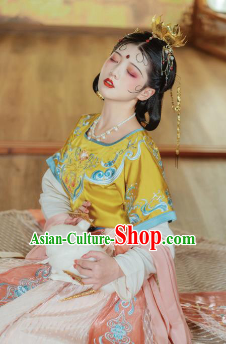 Traditional China Tang Dynasty Court Lady Dance Clothing Ancient Palace Princess Embroidered Hanfu Dress Traditional China Tang Dynasty Court Lady Dance Clothing Ancient Palace Princess Embroidered Hanfu Dress