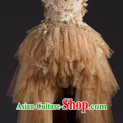 Top Children Modern Dance Light Brown Veil Short Dress Compere Catwalks Stage Show Costume for Kids