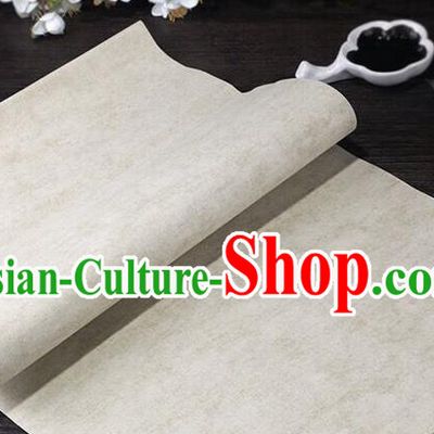 Traditional Chinese Light Grey Calligraphy Paper Handmade The Four Treasures of Study Writing Batik Art Paper