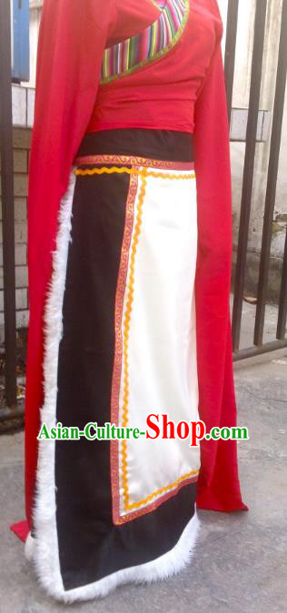 Chinese Zang Nationality Folk Dance Costume Traditional Tibetan Ethnic Dress for Women Chinese Zang Nationality Folk Dance Costume Traditional Tibetan Ethnic Dress for Women