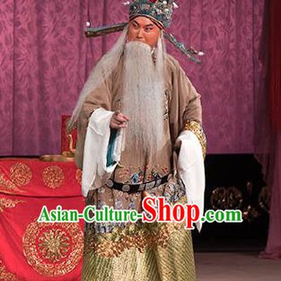 Chinese Beijing Opera Elderly Men Garment Peking Opera Judge Bao and the Qin Xianglian Case Apparels Chancellor Han Qi Costumes and Headwear