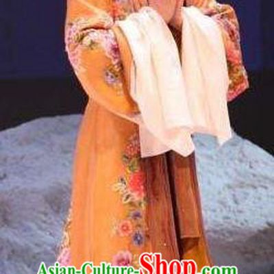 Chinese Kun Opera Young Mistress Apparels Costumes The Fragrant Companion Peking Opera Hua Tan Garment Female Dress and Hair Ornaments