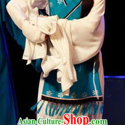 Chinese Shaoxing Opera Civilian Female Costumes and Headpieces Li Hua Qing Yue Opera Hua Tan Apparels Dress Garment