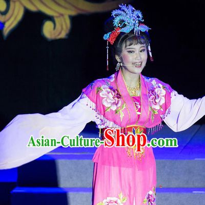 Chinese Shaoxing Opera Hua Tan Liu E Rosy Dress Garment Costumes and Headpieces Palm Civet for Prince Yue Opera Actress Imperial Consort Apparels