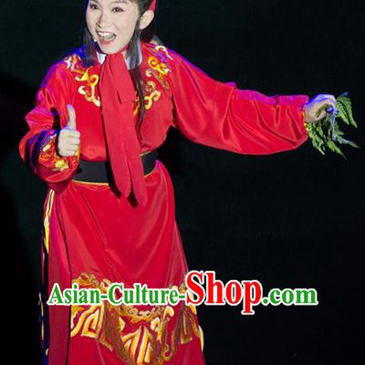 Palm Civet for Prince Chinese Yue Opera Young Boy Apparels Red Costumes and Headwear Shaoxing Opera Crown Prince Zhao Zhen Garment