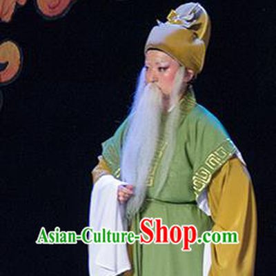 Chinese Yue Opera Elderly Male Costumes and Headwear Shaoxing Opera Palm Civet for Prince Old Man Apparels Garment