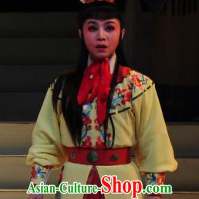 Chinese Yue Opera Young Male Garment Palm Civet for Prince Costumes and Headwear Shaoxing Opera Wa Wa Sheng Crown Prince Apparels