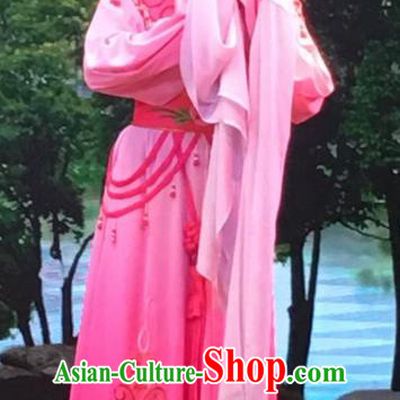 The Crimson Palm Chinese Shaoxing Opera Young Female Garment Costumes and Headwear Yue Opera Hua Tan Wang Qianjin Dress Apparels