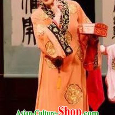Chinese Shaoxing Opera Procuress Chen Sanliang Dress Apparels Costumes and Headpieces Yue Opera Madam Garment