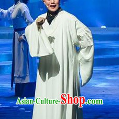 Chinese Yue Opera Physician Chen Shigong Apparels and Headwear Ren Heart Medicine Shaoxing Opera Xiaosheng Garment Scholar Costumes