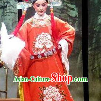 Chinese Yue Opera Xiaosheng Official Robe and Hat Shaoxing Opera Tian Dao Zheng Yi Garment Young Man Apparels Number One Scholar Red Costumes