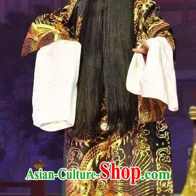 Palm Civet for Prince Chinese Yue Opera Laosheng Costumes and Headwear Shaoxing Opera Elderly Male Garment Apparels Embroidered Robe