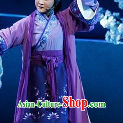 Chinese Shaoxing Opera Elderly Female Dress Costumes and Headpieces Bai Yun Yuan Yue Opera Laodan Garment Apparels