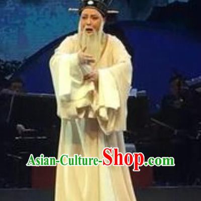 The Orphan of Zhao Chinese Yue Opera Elderly Male Garment Costumes and Headwear Shaoxing Opera Minister Gongsun Chujiu Apparels