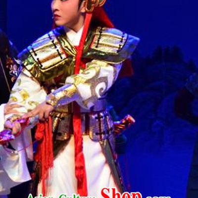 Mrs Dayi Chinese Yue Opera Wusheng General Garment Costumes and Headwear Shaoxing Opera Martial Male Takefu Armor Apparels