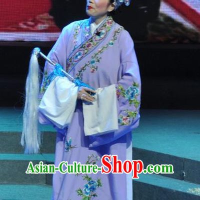 Chinese Yue Opera Qing Jian Fan Ying Apparels and Headwear Shaoxing Opera Eunuch Robe Vestment Garment Costumes