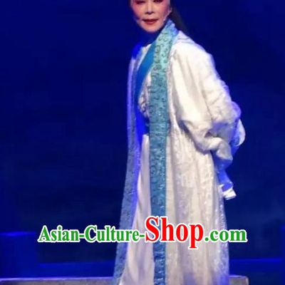 Chinese Yue Opera Scholar Dong Wenzhong Garment Clothing and Headwear Rong Hua Dream Shaoxing Opera Xiaosheng Apparels Costumes