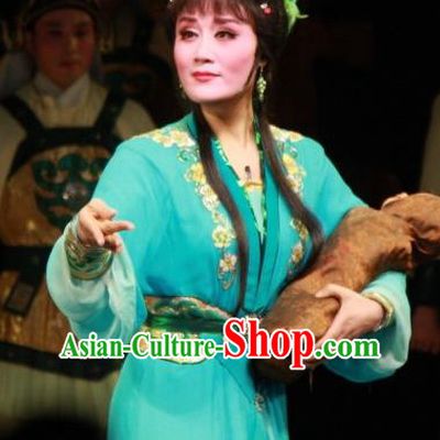 Chinese Shaoxing Opera Distress Maiden Fengxue Hanmei Li Sanniang Green Dress Costumes and Headpieces Yue Opera Actress Garment Apparels
