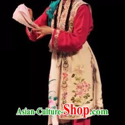 Chinese Kun Opera Xiaodan Dress Costumes and Headdress On A Wall and Horse Kunqu Opera Servant Girl Garment Apparels