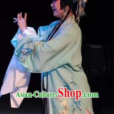 Chinese Kun Opera Young Female Diva Dress Costumes and Headdress On A Wall and Horse Kunqu Opera Hua Tan Garment Apparels