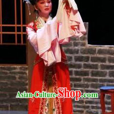 Chinese Shaoxing Opera Hua Tan Red Dress Apparels Yue Opera The Peacocks Fly To The Southeast Liu Lanzhi Costumes Diva Garment and Headpieces