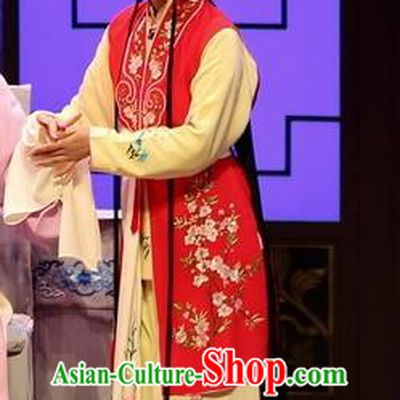 Chinese Kun Opera Xiaodan Maidservant Dress Apparels and Headdress Full Bed Wat Traditional Kunqu Opera Young Girl Red Garment Costumes