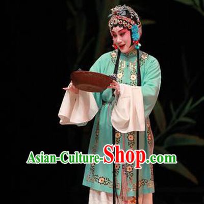 Chinese Kun Opera Young Female Actress Apparels Costumes and Hair Accessories Xiu Ru Ji Traditional Kunqu Opera Hua Tan Courtesan Li Yaxian Dress Garment