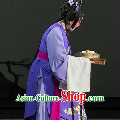 Chinese Kun Opera Woman Purple Dress Apparels Costumes and Hair Accessories Continue the Pipa Traditional Kunqu Opera Young Lady Garment
