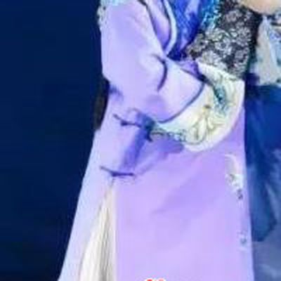 Chinese Huangmei Opera Young Female Purple Costumes Apparels and Headpieces Bu Yue Lei Chi Traditional Anhui Opera Actress Li Niang Dress Garment