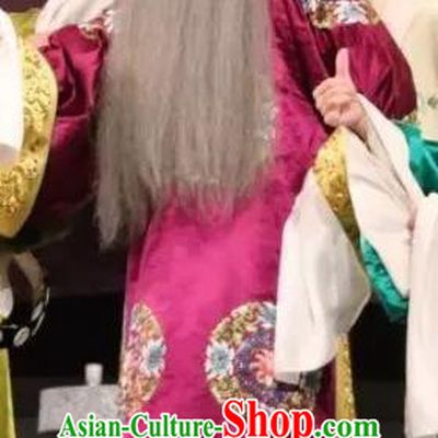 Zhu Meng Ji Chinese Kun Opera Elderly Male Costumes and Headwear Kunqu Opera Laosheng Garment Embroidered Robe Apparels