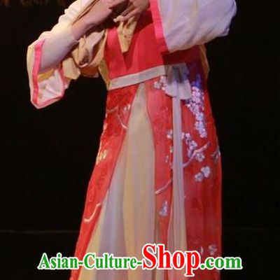 Chinese Huangmei Opera Young Female Costumes Apparels and Headdress Escaping From the Temple Traditional Anhui Opera Taoist Nun Pink Dress Garment