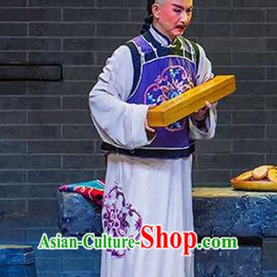Chinese Huangmei Opera Scholar Da Qing Prime Minister Apparels Costumes and Headwear Kunqu Opera Qing Dynasty Garment Clothing