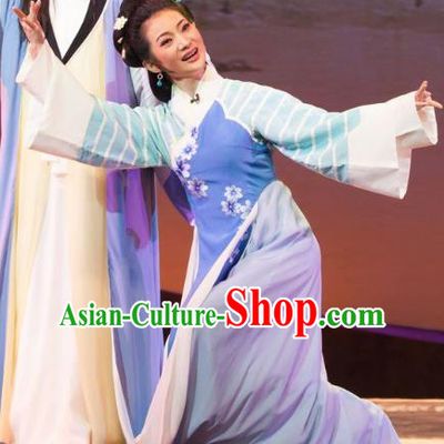 Chinese Huangmei Opera Young Female Garment Costumes and Headpieces Li Shizhen Traditional Anhui Opera Blue Dress Apparels