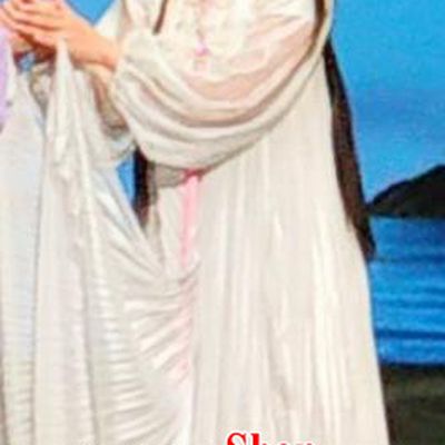 Chinese Huangmei Opera Young Female Daughter of Dragon Garment Costumes and Headpieces Traditional Anhui Opera Princess White Dress Apparels