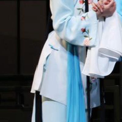 Chinese Shaoxing Opera Xiao Dan Young Lady Dress The Jade Hairpin Yue Opera Garment Costumes Maidservant Apparels and Headpieces