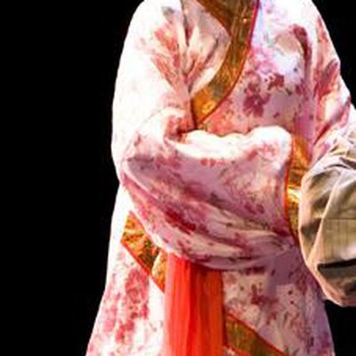 Chinese Huangmei Opera Yu Mei Qing Chou Garment Young Lady Costumes and Headpieces Traditional Anhui Opera Maidservant Dress Apparels