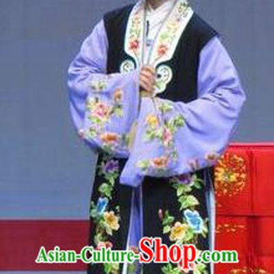 Chinese Ping Opera Young Lady Li Fengying Garment Costumes and Headdress Jie Nv Qiao Pei Traditional Pingju Opera Dan Dress Apparels