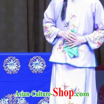 Chinese Ping Opera Ugly Dan Wang Meirong Garment Costumes and Headdress Jie Nv Qiao Pei Traditional Pingju Opera Young Lady Dress Apparels