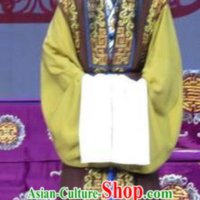 Jie Nv Qiao Pei Chinese Ping Opera Landlord Costumes and Headwear Pingju Opera Ministry Councillor Wang Apparels Clothing