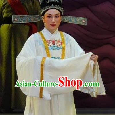Chinese Yue Opera Young Male Scholar Apparels The Story of Hairpin Wang Shipeng Garment Shaoxing Opera Niche Costumes and Hat