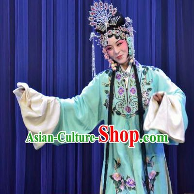 Chinese Ping Opera Cha Ping Ji Young Female Apparels Costumes and Headpieces Traditional Pingju Opera Hua Tan Gong Xiuying Dress Garment