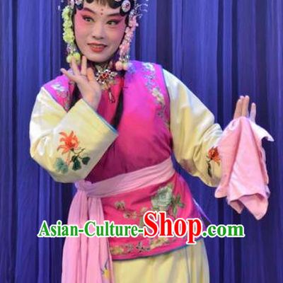 Chinese Ping Opera Maidservant Cha Ping Ji Apparels Costumes and Headpieces Traditional Pingju Opera Xiaodan Chun Hong Dress Garment