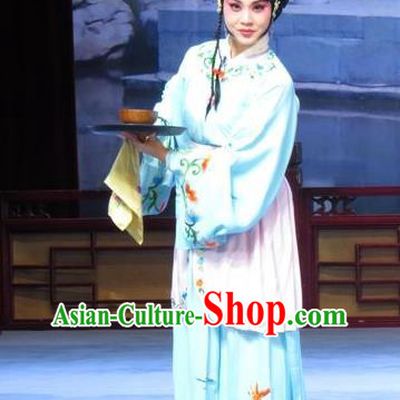 Chinese Ping Opera Maidservant Apparels Costumes and Headdress Xue Yu Bing Shuang Traditional Pingju Opera Servang Girl Ai Yu Dress Garment