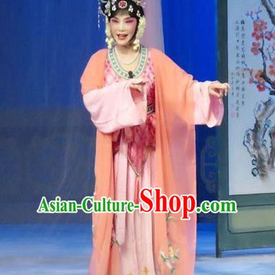 Chinese Ping Opera Young Female Liu Hua Costumes The Wrong Red Silk Apparels and Headpieces Traditional Pingju Opera Diva Dress Garment