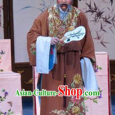 Flower a Matchmaker Chinese Ping Opera Laosheng Costumes Pingju Opera Elderly Male Li Maolin Apparels Clothing and Hat