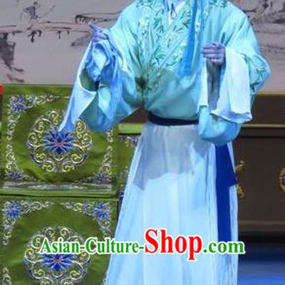 Flower a Matchmaker Chinese Ping Opera Xiaosheng Wang Junqing Costumes and Headwear Pingju Opera Niche Young Male Apparels Clothing