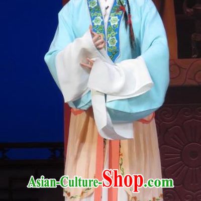 Chinese Ping Opera Young Female Liu Huiniang Apparels Costumes and Headpieces Yuan Yang Pu Traditional Pingju Opera Diva Dress Garment