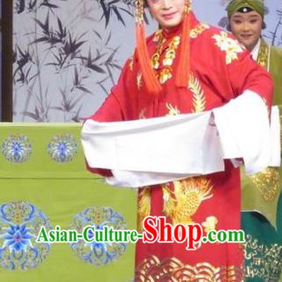 Chinese Ping Opera Bride Apparels Costumes and Headdress Yuan Yang Pu Traditional Pingju Opera Sun Run Red Dress Garment