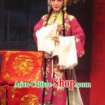 Chinese Ping Opera Remember Back to the Cup Apparels Costumes and Headpieces Traditional Pingju Opera Hua Tan Dress Garment
